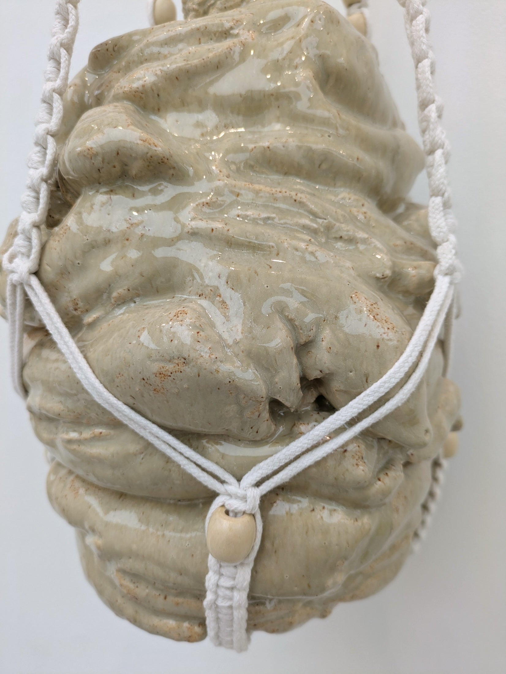 Collection of Mercedes Lucy - Hanging Pigs Trotters in a gallery layout