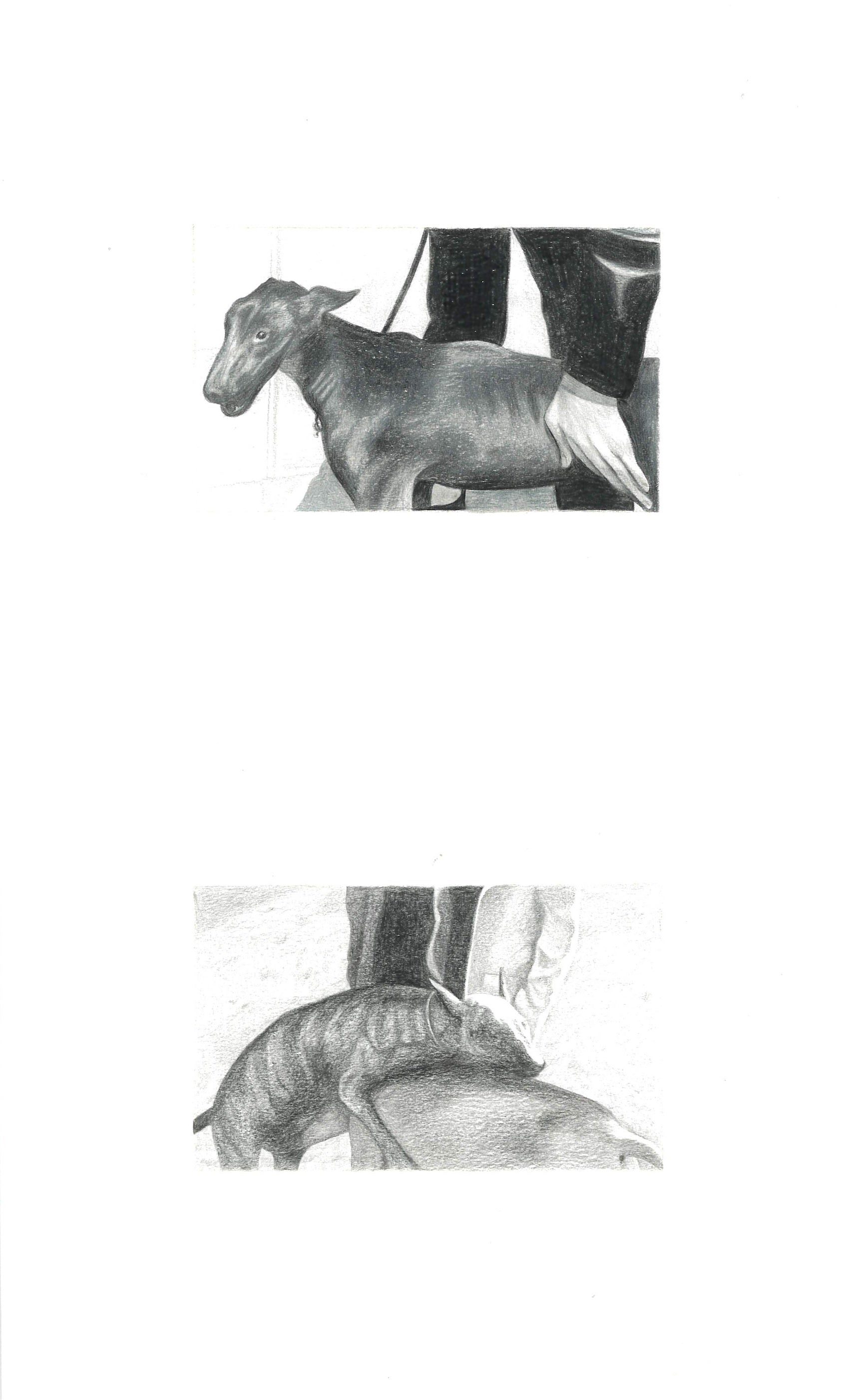 Collection of  in a gallery layout