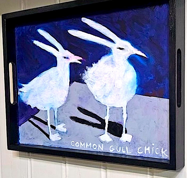 Collection of Thelma Speirs - Common Gull Chicks in a gallery layout