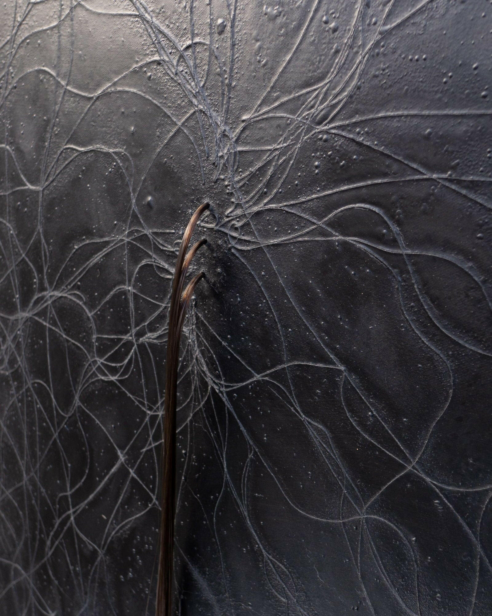 Collection of Zoe De Caluwé - Trails - Fine art at Liminal Gallery in a gallery layout