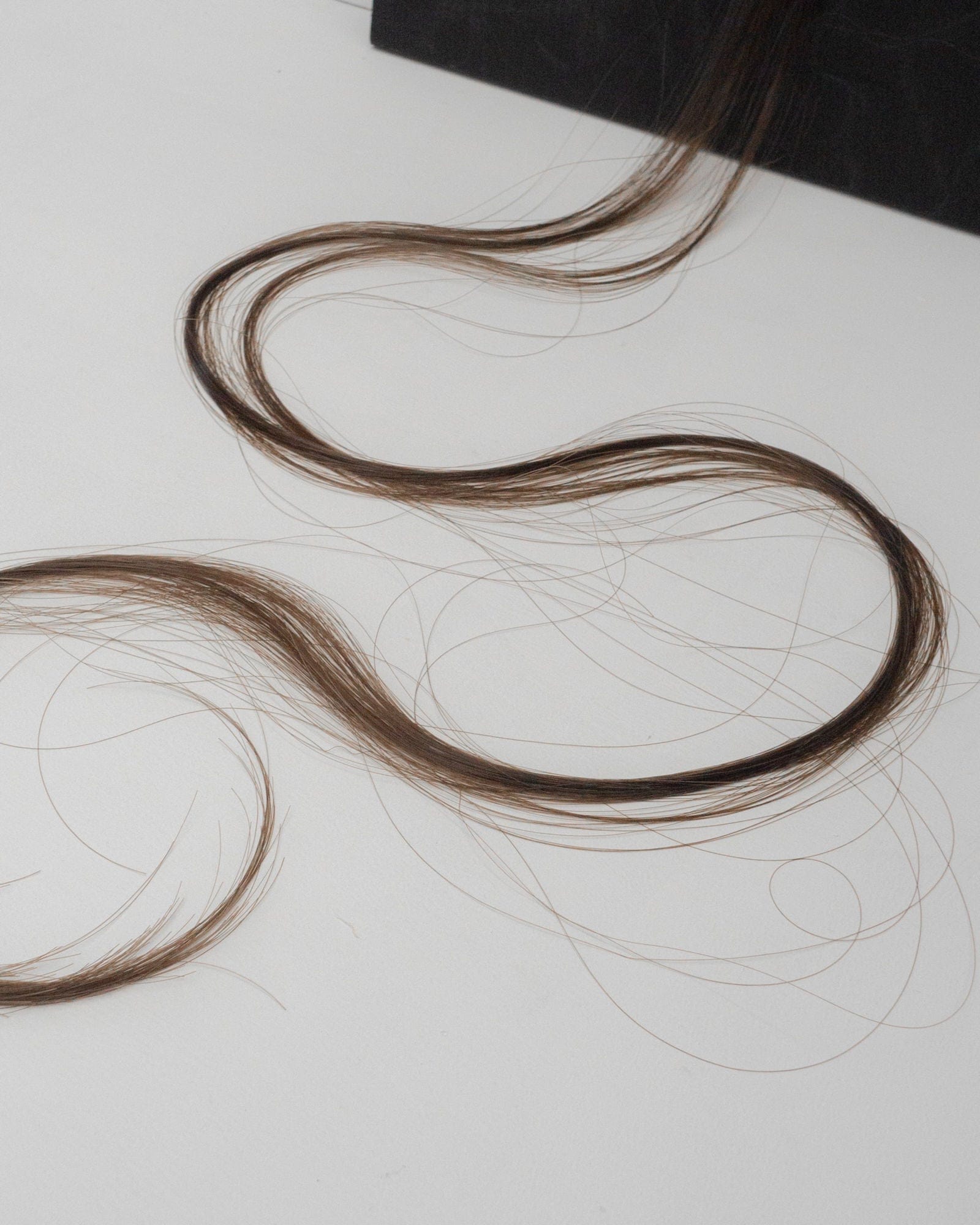 Collection of Zoe De Caluwé - Trails - Fine art at Liminal Gallery in a gallery layout