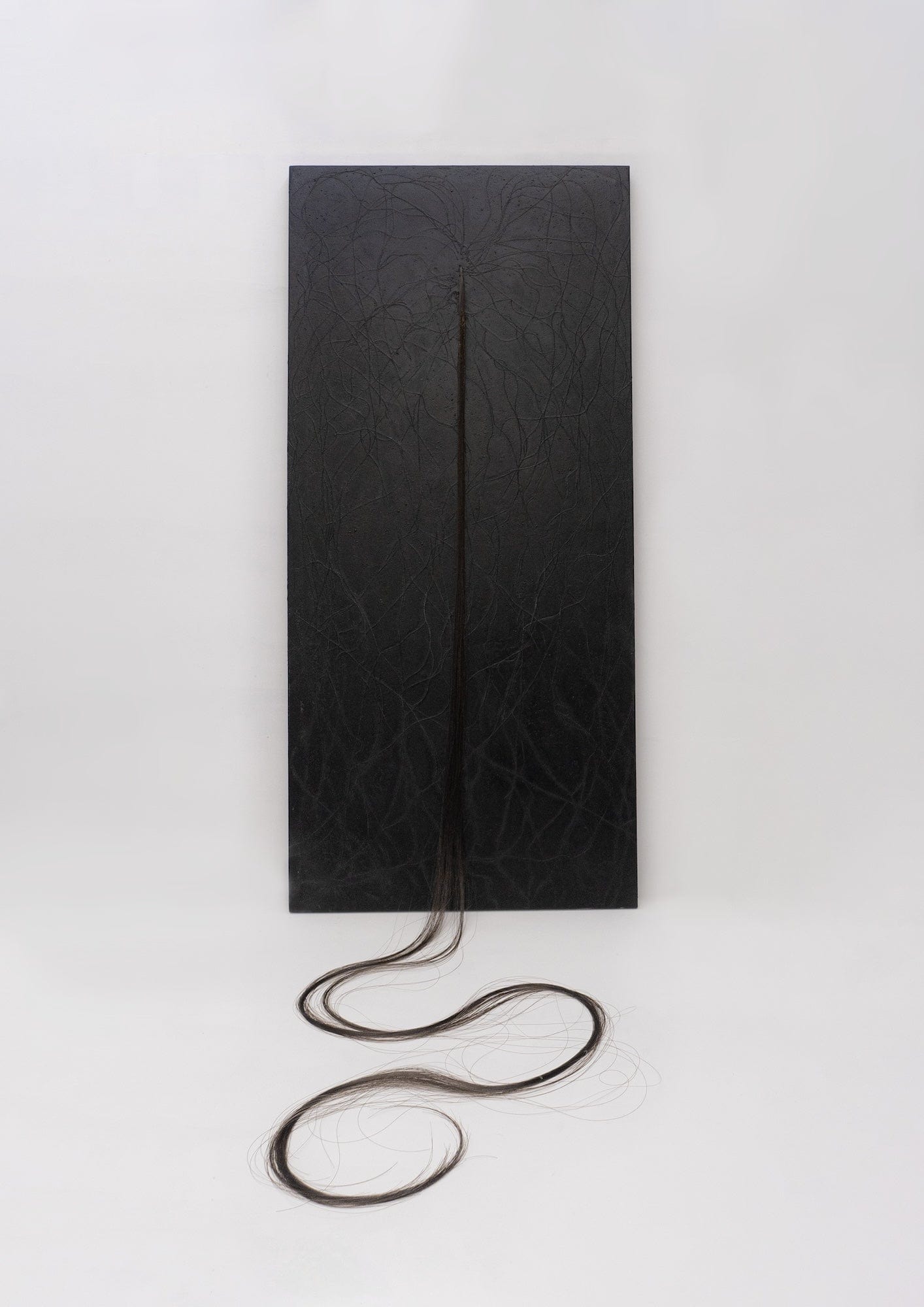 Collection of Zoe De Caluwé - Trails - Fine art at Liminal Gallery in a gallery layout